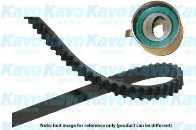 KAVO PARTS dkt1005 -  Комплект ремня ГРМ